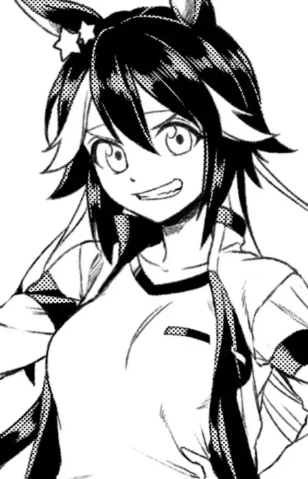 imagem de capa do personagem South Heroine