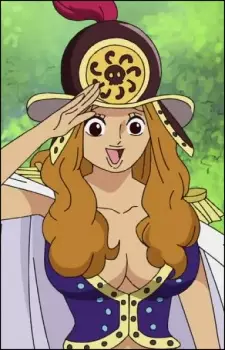 imagem de capa do personagem Aphelandra