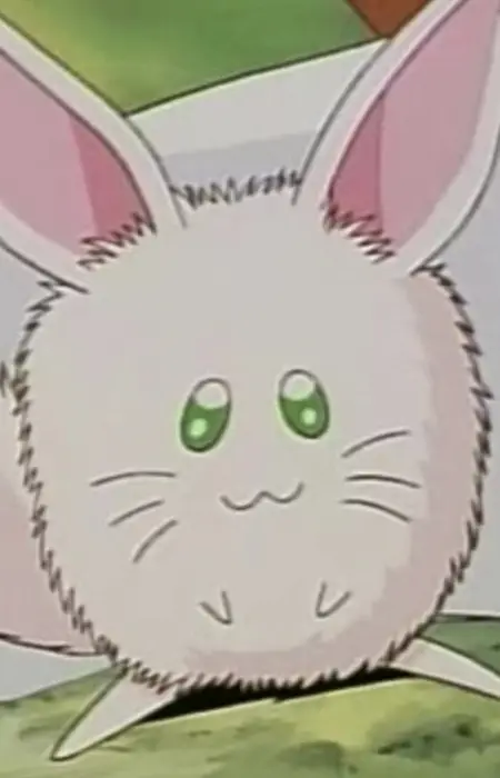 imagem de capa do personagem Rurupapa