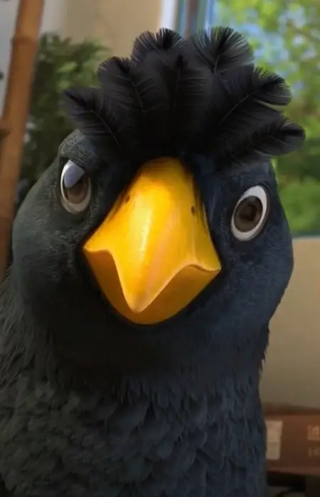 imagem de capa do personagem Birdee