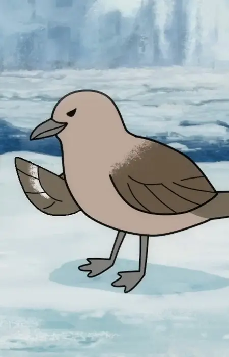 imagem de capa do personagem South Polar Skua