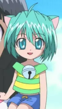 imagem de capa do personagem Cookie