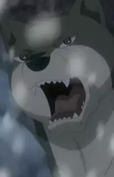 imagem de capa do personagem Shintarou