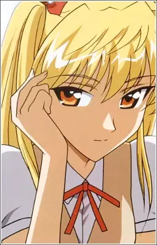 imagem de capa do personagem Eri Sawachika