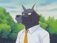 imagem de capa do personagem Mr. Wolf
