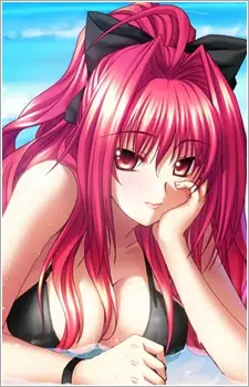 imagem de capa do personagem Corticarte Apa Lagranges