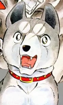 imagem de capa do personagem Gin