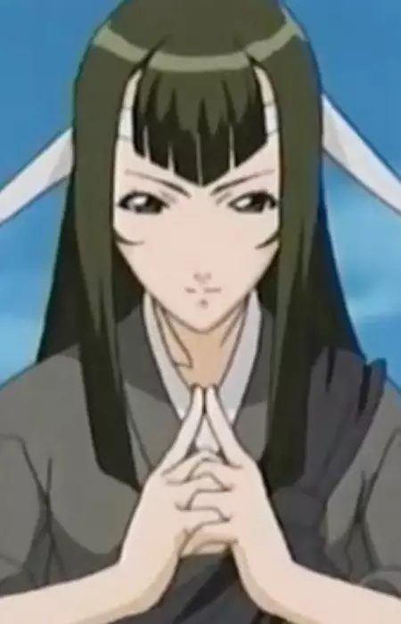 imagem de capa do personagem Arayashiki North
