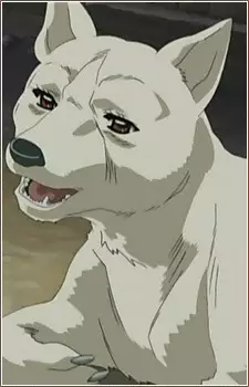 imagem de capa do personagem Sakura