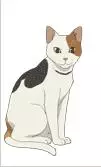 imagem de capa do personagem Luca
