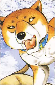 imagem de capa do personagem Sasuke