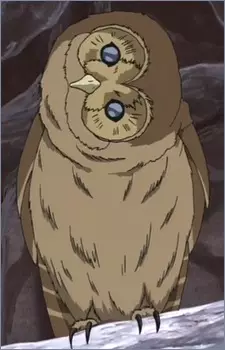 imagem de capa do personagem Owl