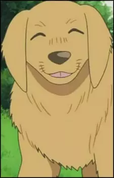 imagem de capa do personagem Tammy
