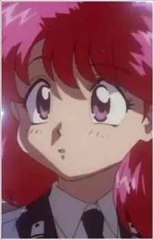 imagem de capa do personagem Youko Shimorenjaku