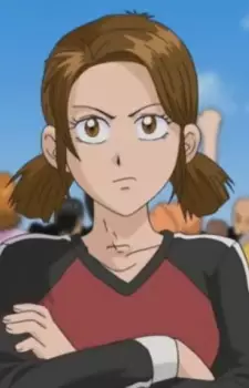 imagem de capa do personagem Rinko Nikaidou