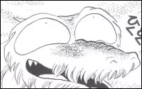 imagem de capa do personagem Orochi