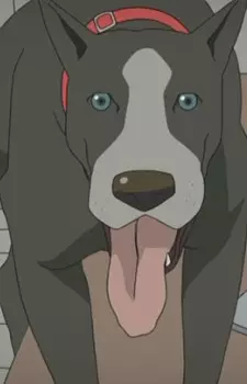 imagem de capa do personagem Washington