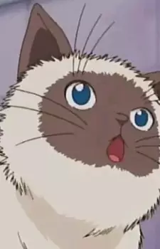 imagem de capa do personagem Karupin