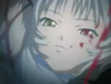 imagem de capa do personagem Hotaruko Kizuki