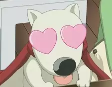 imagem de capa do personagem Burumaru