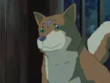 imagem de capa do personagem Wolf