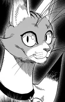 imagem de capa do personagem Nyan