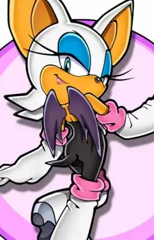 imagem de capa do personagem Rouge the Bat