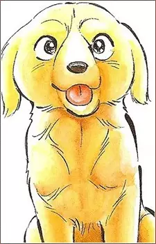 imagem de capa do personagem Mel
