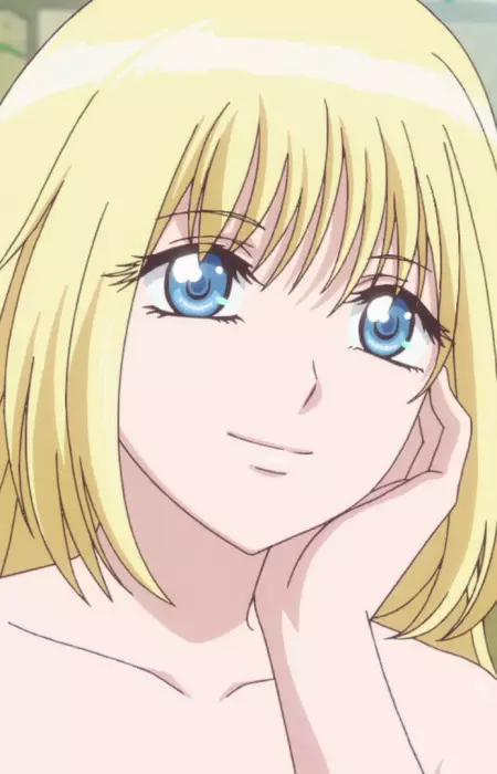 imagem de capa do personagem Shirogane's Mother