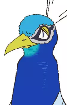 imagem de capa do personagem Peacock
