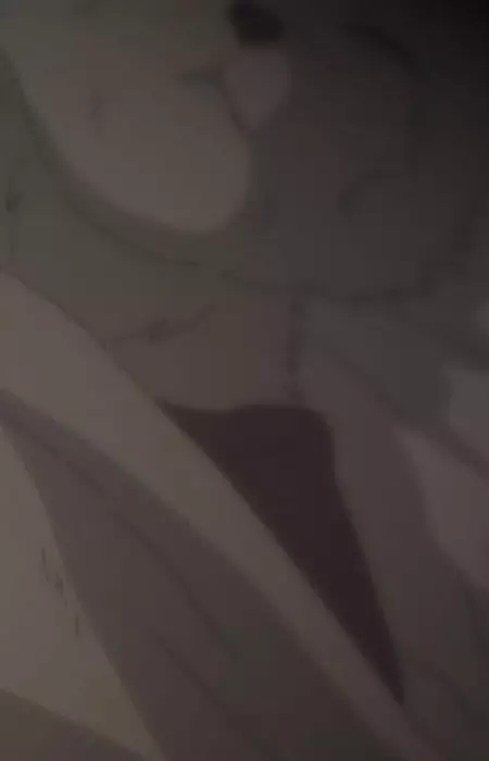 imagem de capa do personagem Lanteveldt's Mother