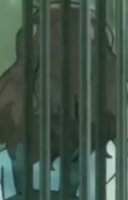 imagem de capa do personagem Eimi Yokota