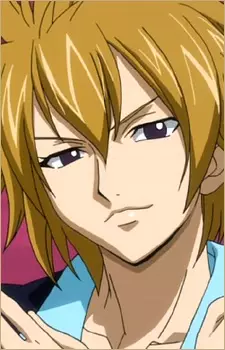imagem de capa do personagem Hibiki Laytis