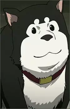 imagem de capa do personagem Black Hayate
