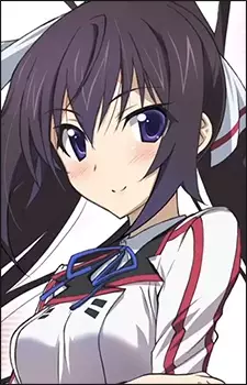 imagem de capa do personagem Houki Shinonono