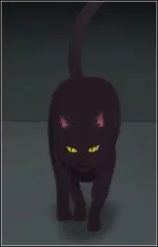 imagem de capa do personagem Nora Neko