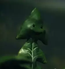 imagem de capa do personagem Dandelion Sprout