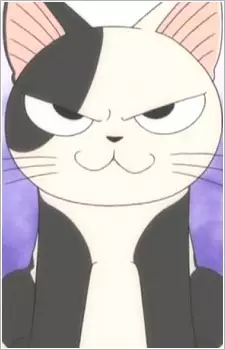 imagem de capa do personagem Kocchi