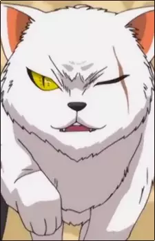 imagem de capa do personagem Puke Shougun