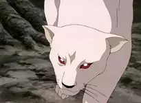 imagem de capa do personagem Enefeaa