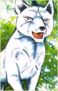 imagem de capa do personagem Akame
