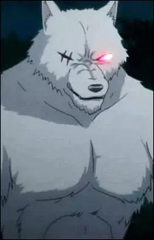 imagem de capa do personagem Lobo Wildman