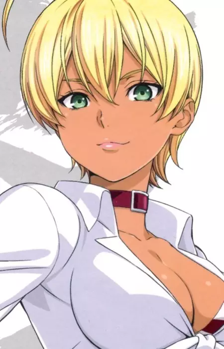 imagem de capa do personagem Ikumi Mito