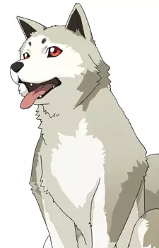 imagem de capa do personagem Koromaru