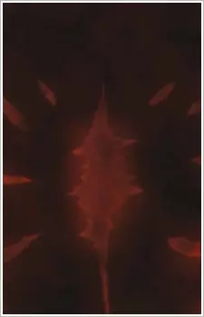imagem de capa do personagem Rekidai Maou