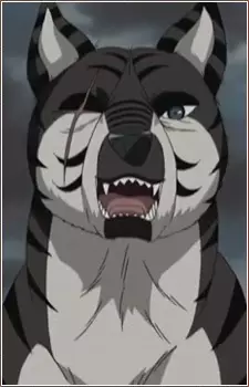 imagem de capa do personagem Kurotora