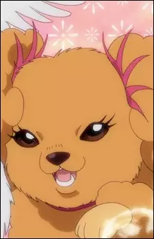 imagem de capa do personagem Cookie