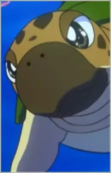 imagem de capa do personagem Turtle