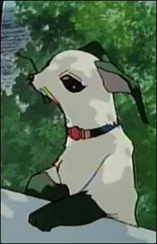 imagem de capa do personagem Japolo