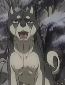 imagem de capa do personagem Ryou
